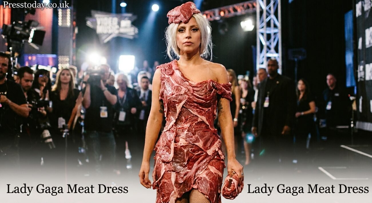 lady gaga meat dress