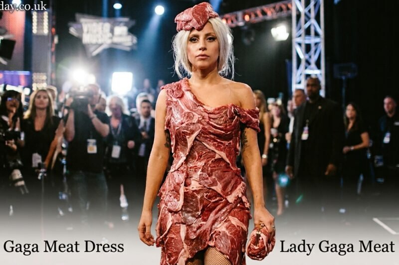 lady gaga meat dress